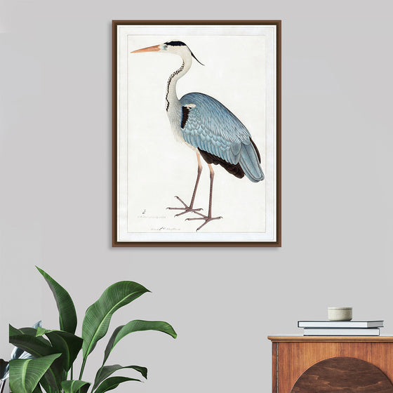 "Indian Gray Heron (1780-1782)", Ram Das