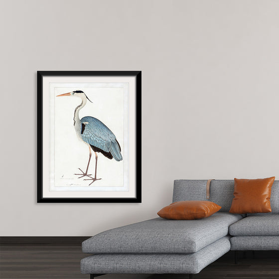 "Indian Gray Heron (1780-1782)", Ram Das