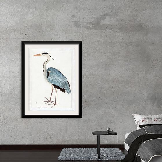 "Indian Gray Heron (1780-1782)", Ram Das