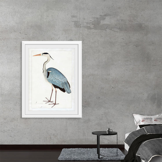 "Indian Gray Heron (1780-1782)", Ram Das