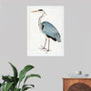 "Indian Gray Heron (1780-1782)", Ram Das