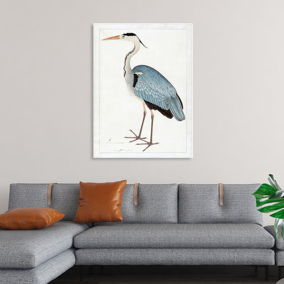 "Indian Gray Heron (1780-1782)", Ram Das