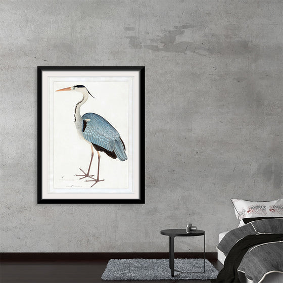 "Indian Gray Heron (1780-1782)", Ram Das