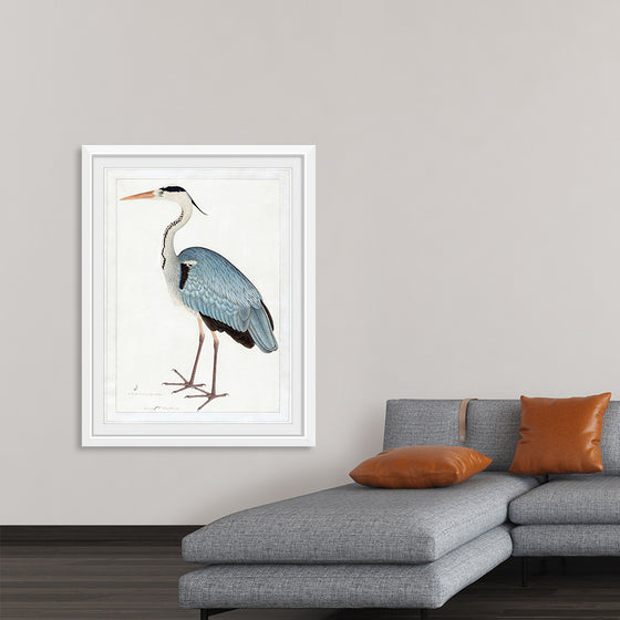 "Indian Gray Heron (1780-1782)", Ram Das