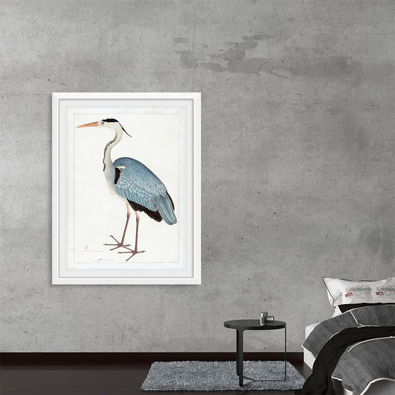 "Indian Gray Heron (1780-1782)", Ram Das