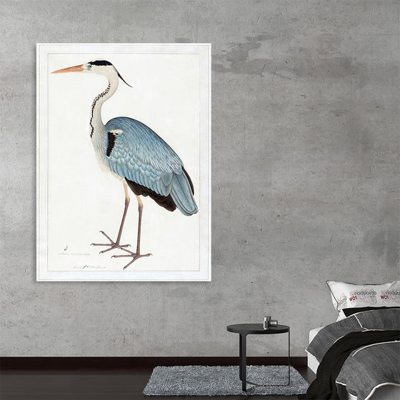 "Indian Gray Heron (1780-1782)", Ram Das