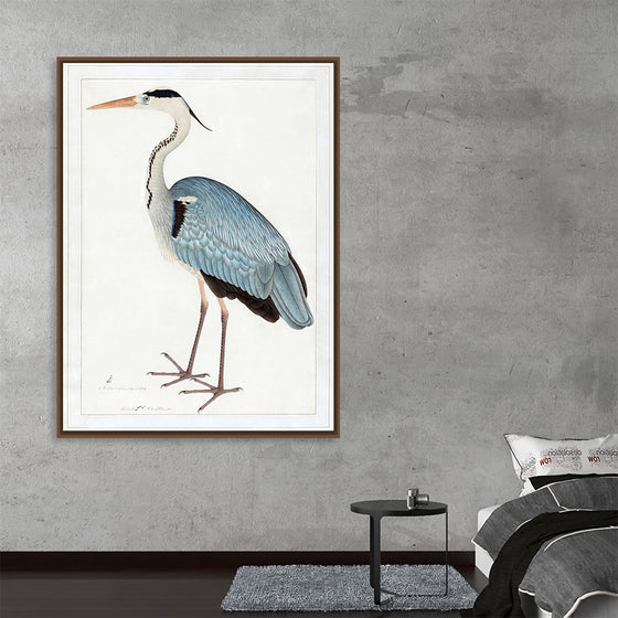 "Indian Gray Heron (1780-1782)", Ram Das