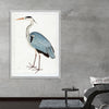 "Indian Gray Heron (1780-1782)", Ram Das