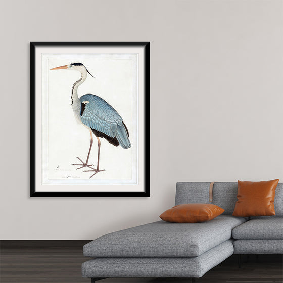 "Indian Gray Heron (1780-1782)", Ram Das