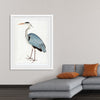 "Indian Gray Heron (1780-1782)", Ram Das