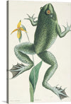 Dive into the enchanting world where nature’s beauty and artistic brilliance converge in this exquisite print. A meticulously detailed frog, boasting a rich, textured green hue and captivating orange eyes, is captured mid-motion, offering a dynamic energy that will breathe life into any space. The amphibian’s graceful dance with an elegant yellow flower adds a touch of whimsy and wonder. 