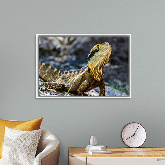 "A Lizard with Vibrant Scales Sitting on a Rock in the Wild", Mitchell Lawler