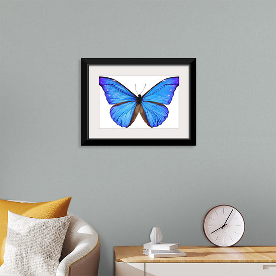 "Beautiful butterfly"