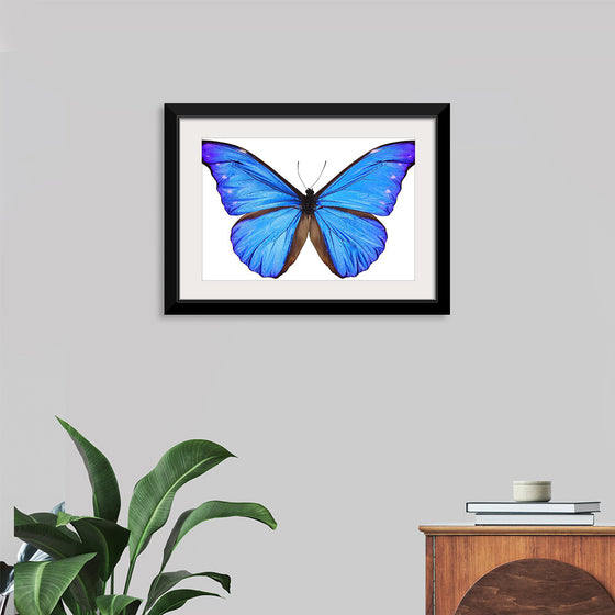 "Beautiful butterfly"