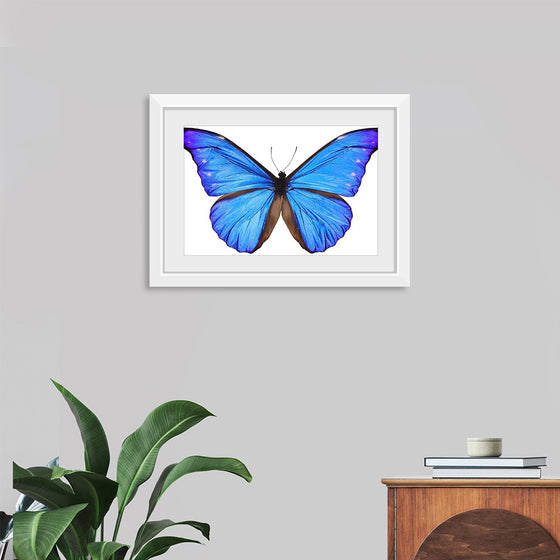 "Beautiful butterfly"