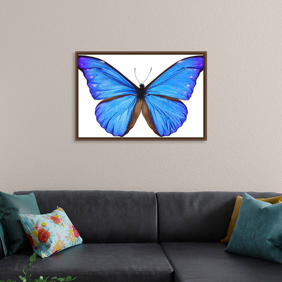 "Beautiful butterfly"