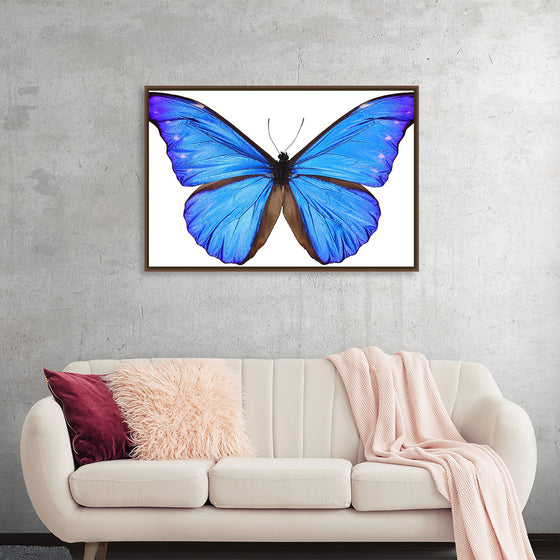 "Beautiful butterfly"