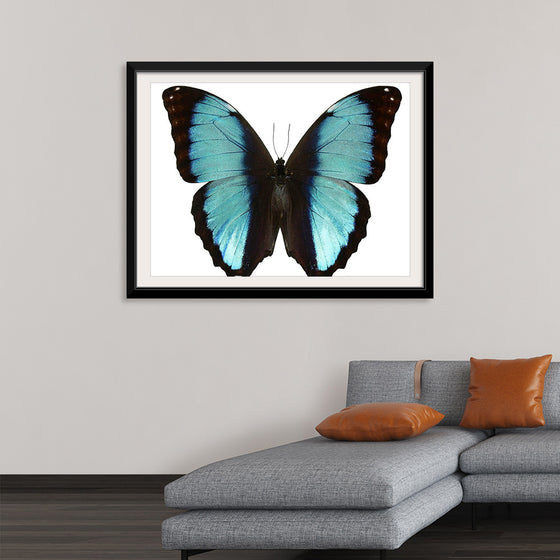 "Beautiful butterfly"