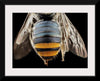 "Bee Butts — This is the backend of a Lipotriches"