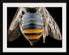 "Bee Butts — This is the backend of a Lipotriches"