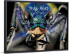 "Festive Tiger Beetle. (Cicindela scutellaris)"
