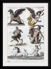 "Mythical creatures from Bilderbuch für Kinder (1790 and 1830)", Friedrich Justin Bertuch