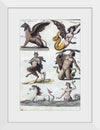 "Mythical creatures from Bilderbuch für Kinder (1790 and 1830)", Friedrich Justin Bertuch