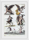 "Mythical creatures from Bilderbuch für Kinder (1790 and 1830)", Friedrich Justin Bertuch