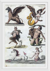 "Mythical creatures from Bilderbuch für Kinder (1790 and 1830)", Friedrich Justin Bertuch