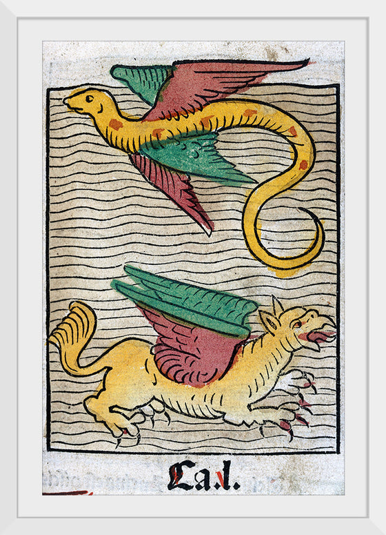 "A Flying Fish and a Griffin"