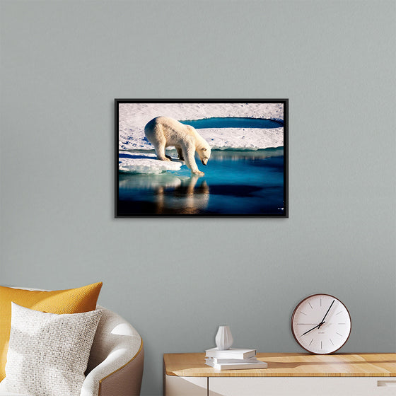 "Polar Bear at the Arctic"