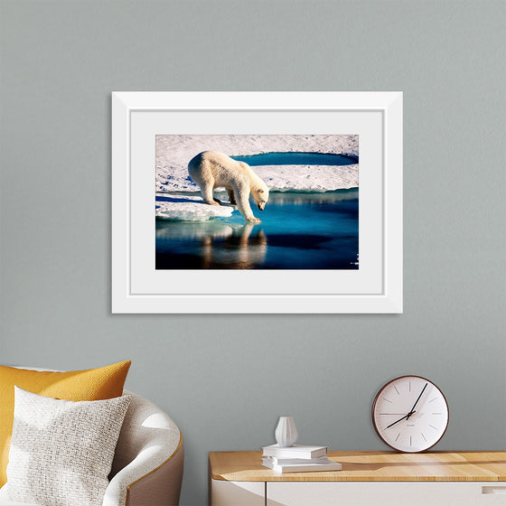 "Polar Bear at the Arctic"