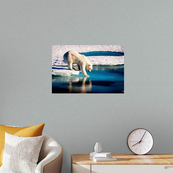 "Polar Bear at the Arctic"