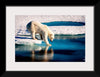 "Polar Bear at the Arctic"