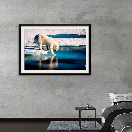 "Polar Bear at the Arctic"