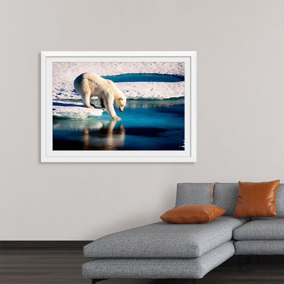 "Polar Bear at the Arctic"