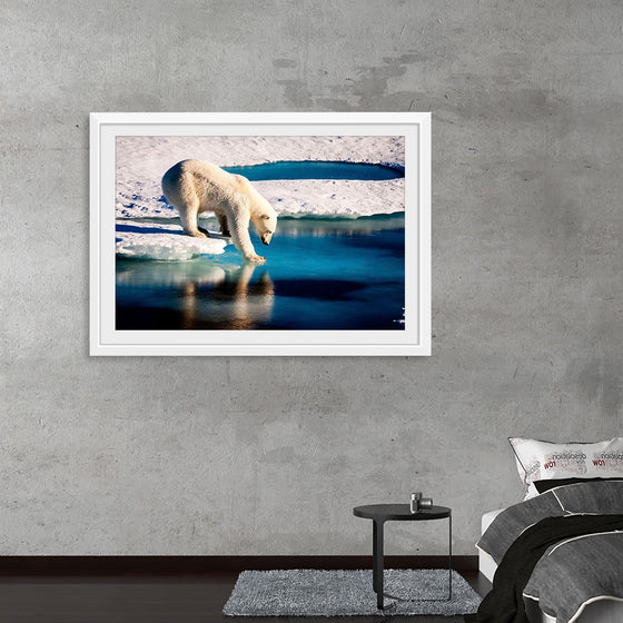 "Polar Bear at the Arctic"