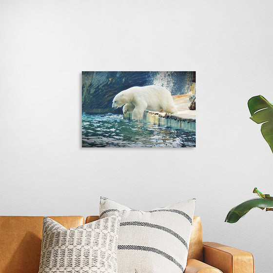 "Polar Bear in the Water"