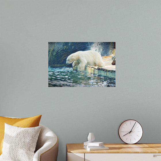 "Polar Bear in the Water"