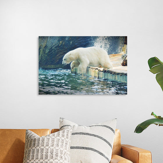 "Polar Bear in the Water"