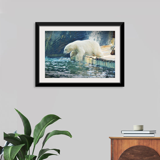 "Polar Bear in the Water"