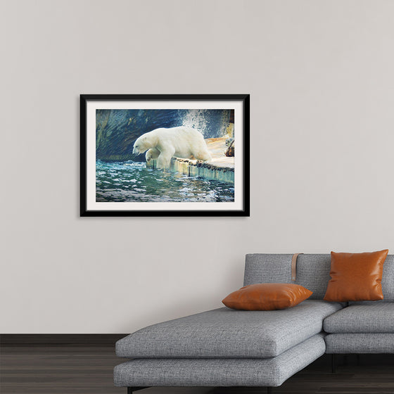 "Polar Bear in the Water"