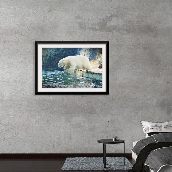 "Polar Bear in the Water"