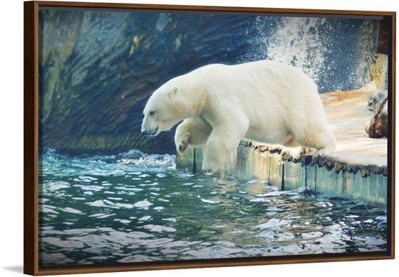 "Polar Bear in the Water"