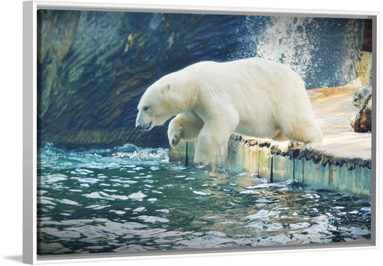 "Polar Bear in the Water"