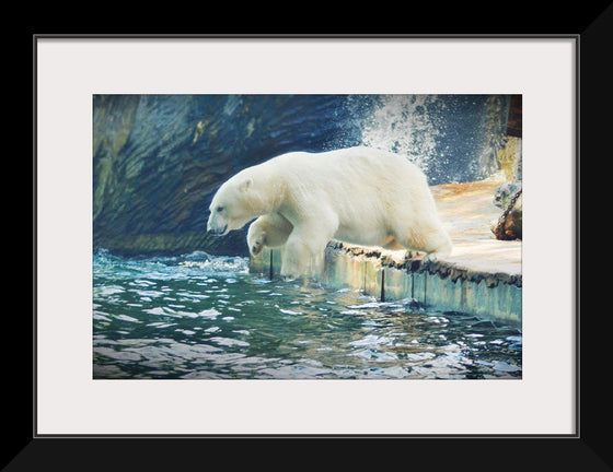 "Polar Bear in the Water"