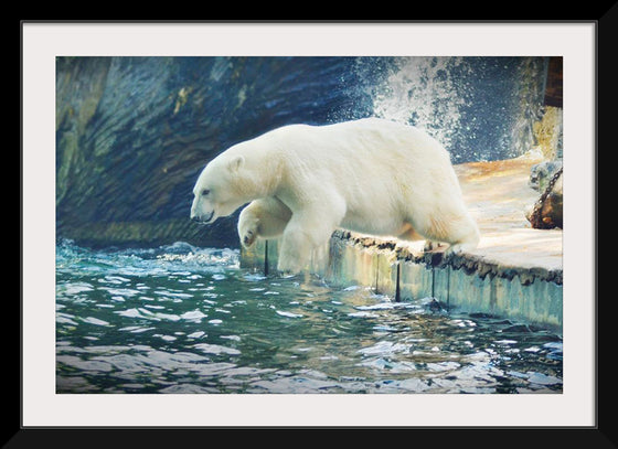 "Polar Bear in the Water"