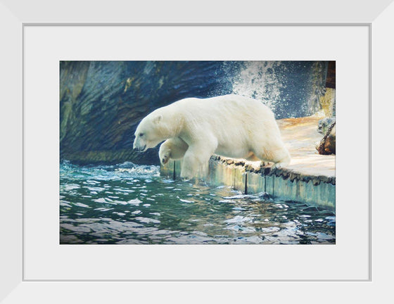 "Polar Bear in the Water"