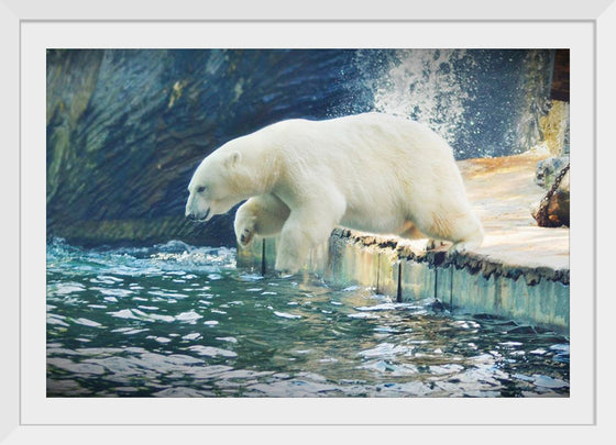 "Polar Bear in the Water"