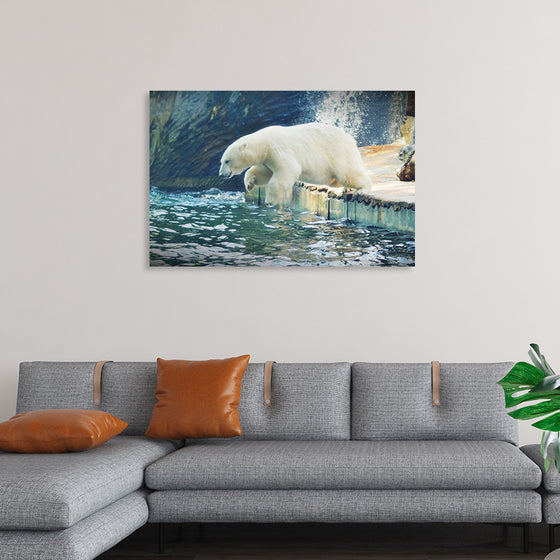 "Polar Bear in the Water"